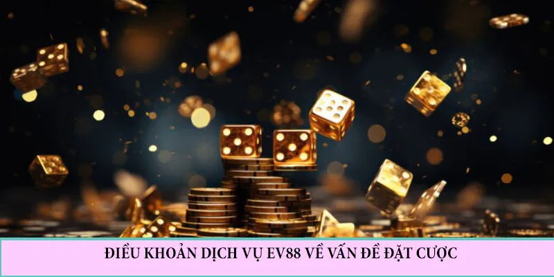 Điều khoản dịch vụ EV88 quy định về vấn đề đặt cược