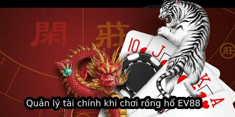 Quản lý tài chính khi chơi rồng hổ EV88