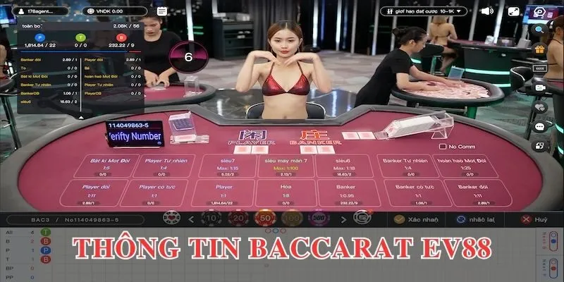Thông tin ngắn gọn về baccarat EV88
